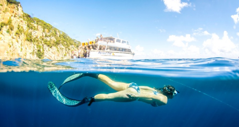 Poor Knights Islands Diving & Snorkelling Tours 