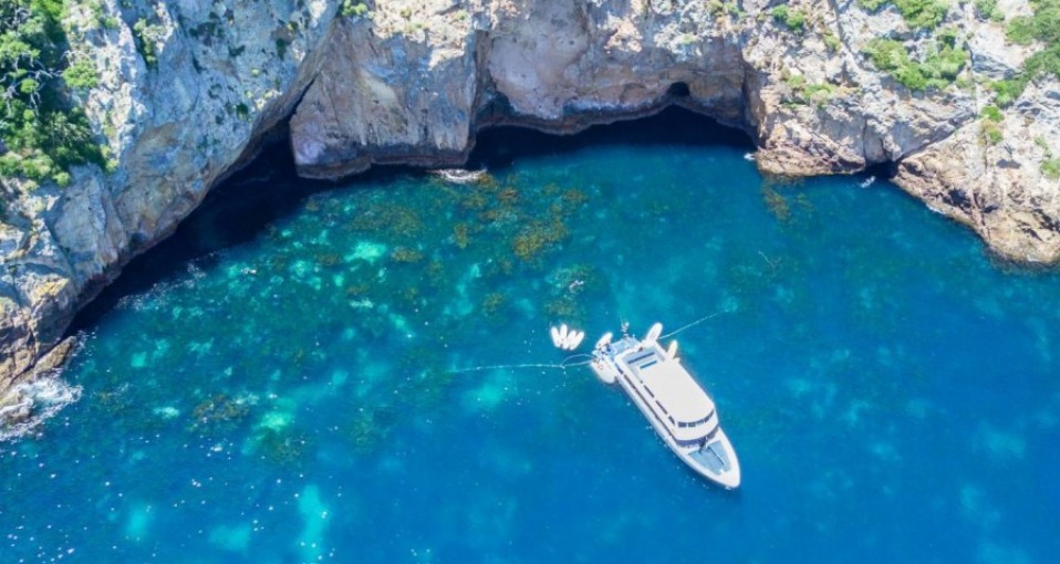 Scuba Diving Tours Poor Knights Islands Everything New Zealand