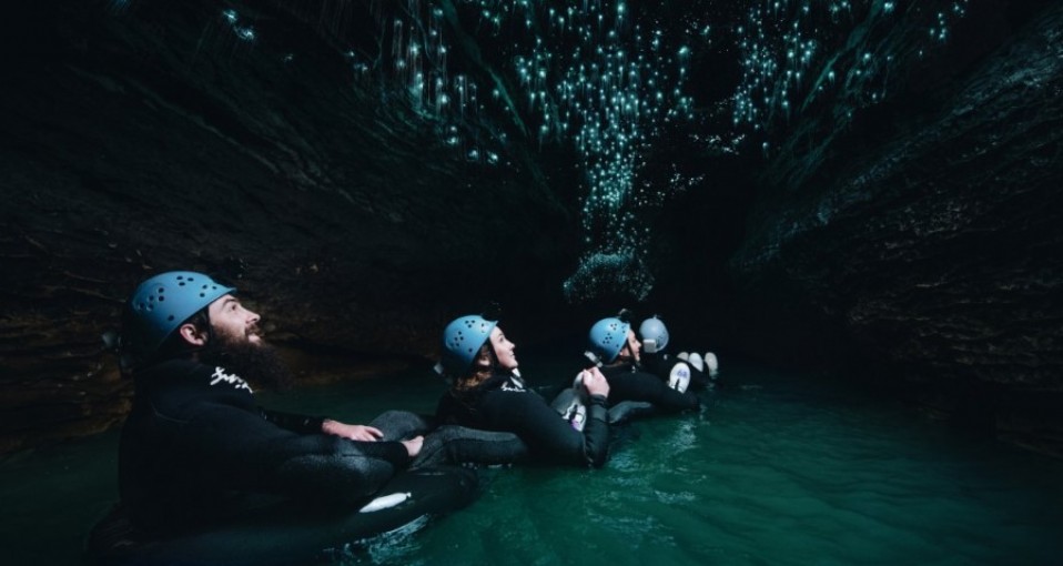 Waitomo Cave Tours