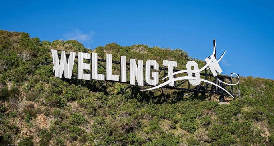 Wellington Tours & Activities