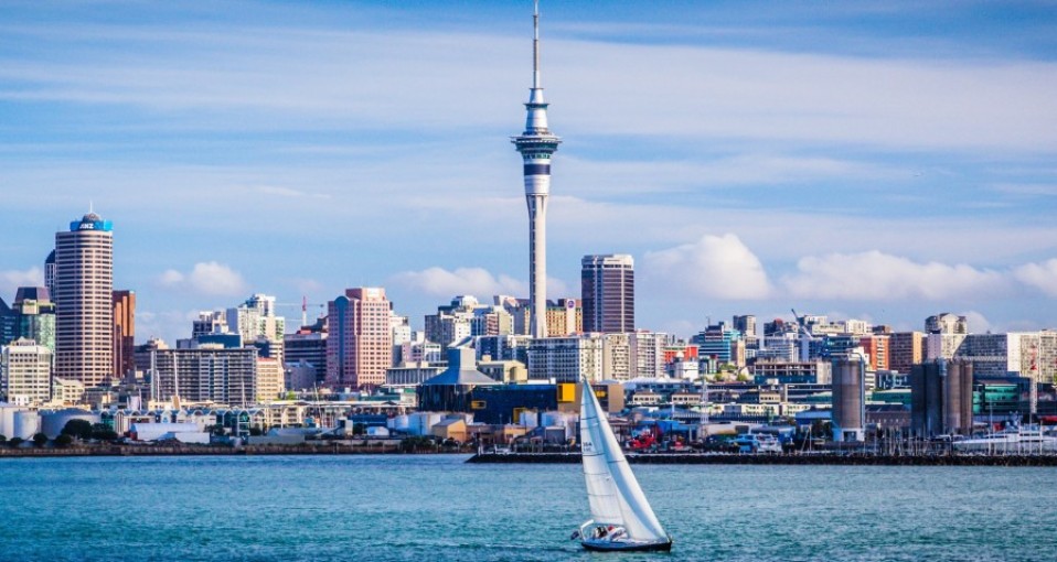 Auckland Activities